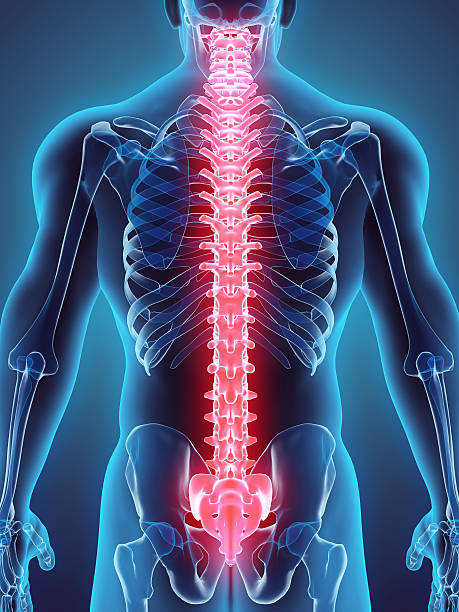 Ortho & Spine