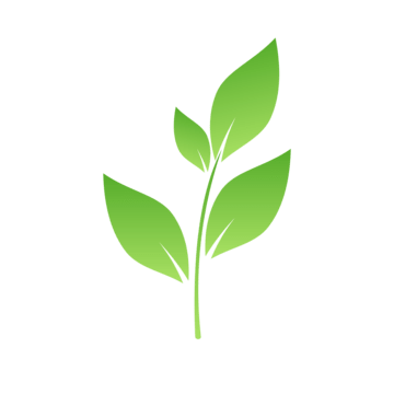 leaf icon