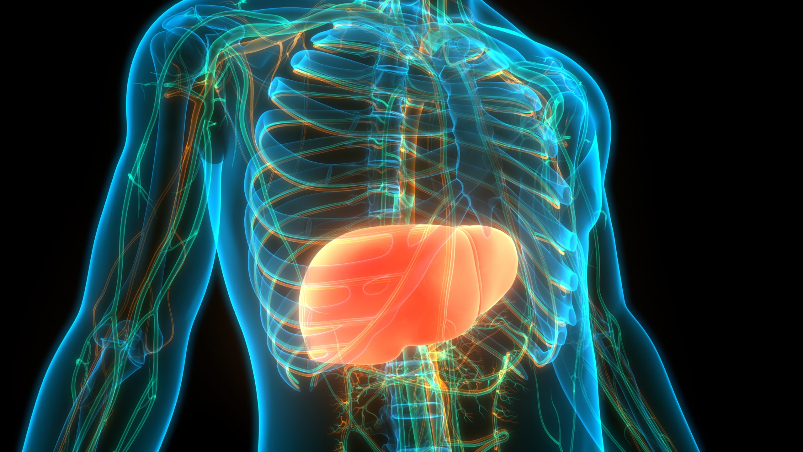 Liver Treatment